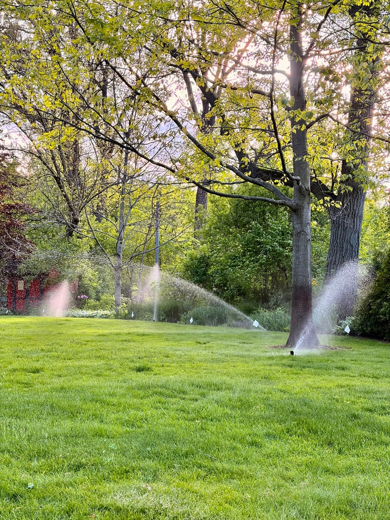 Lawn sprinklers watering a green yard surrounded by tall trees and spring foliage